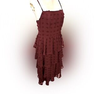 Francesca's Collections Burgundy Layered Midi Dress